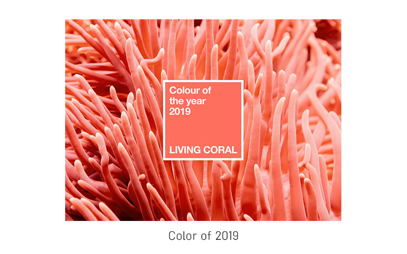 6 رنگ جذاب در مد و فشن | رنگ سال 2019